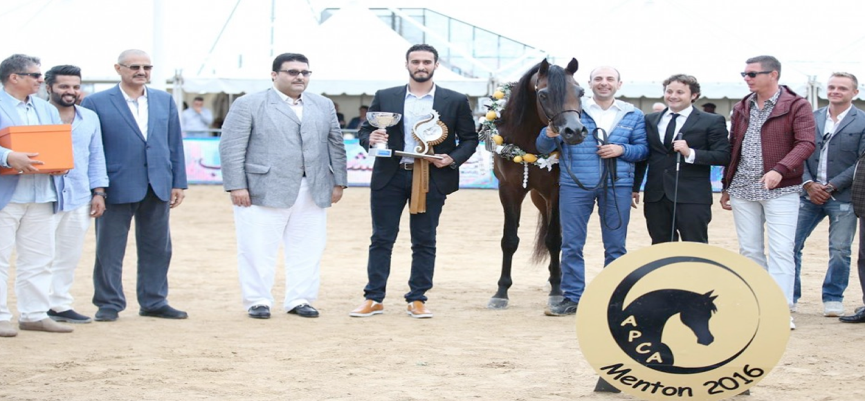 EKS Alihandro Wins Gold at the Mediterranean & Arab Countries Arabian ...